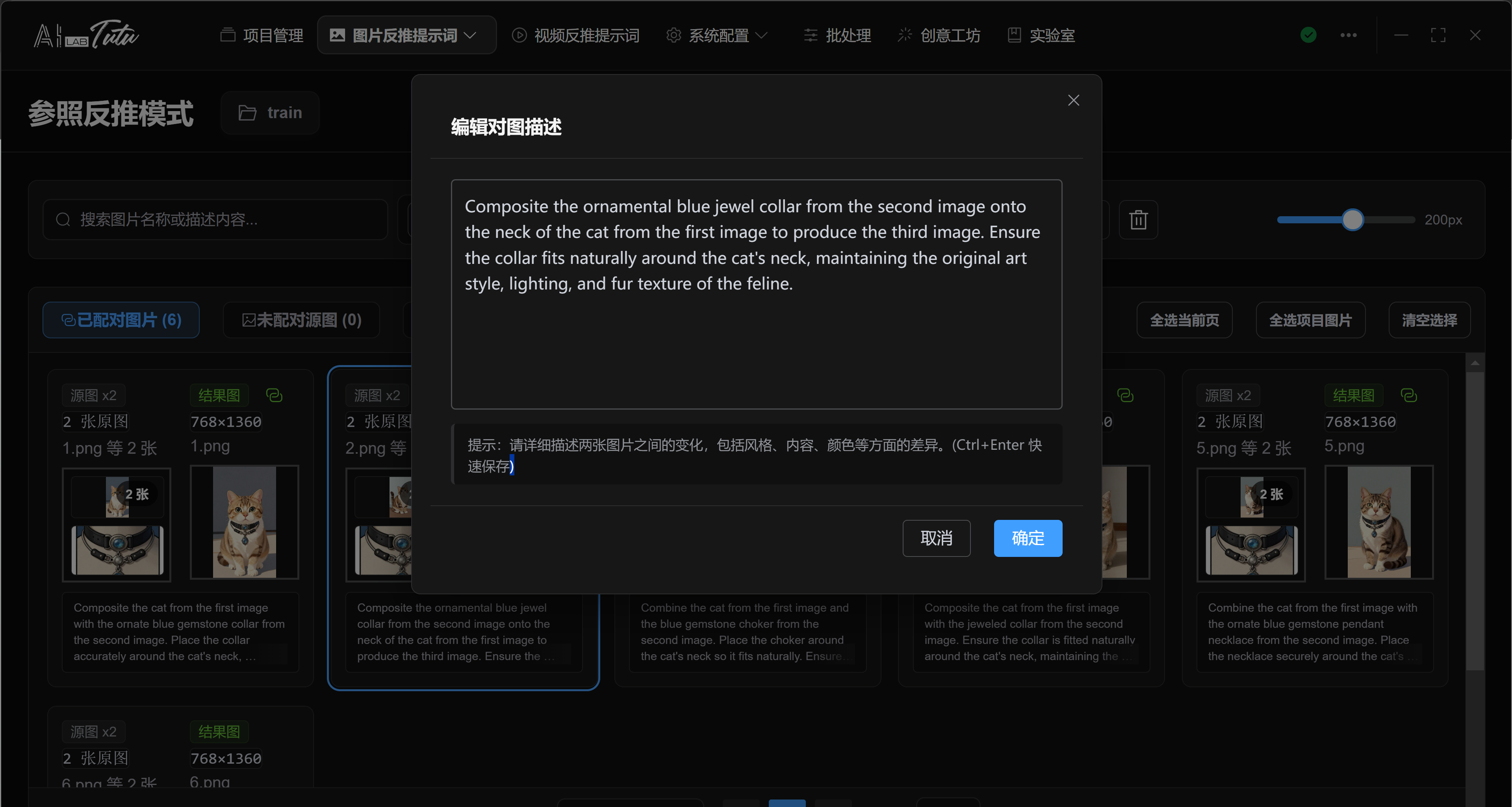Edit paired description dialog