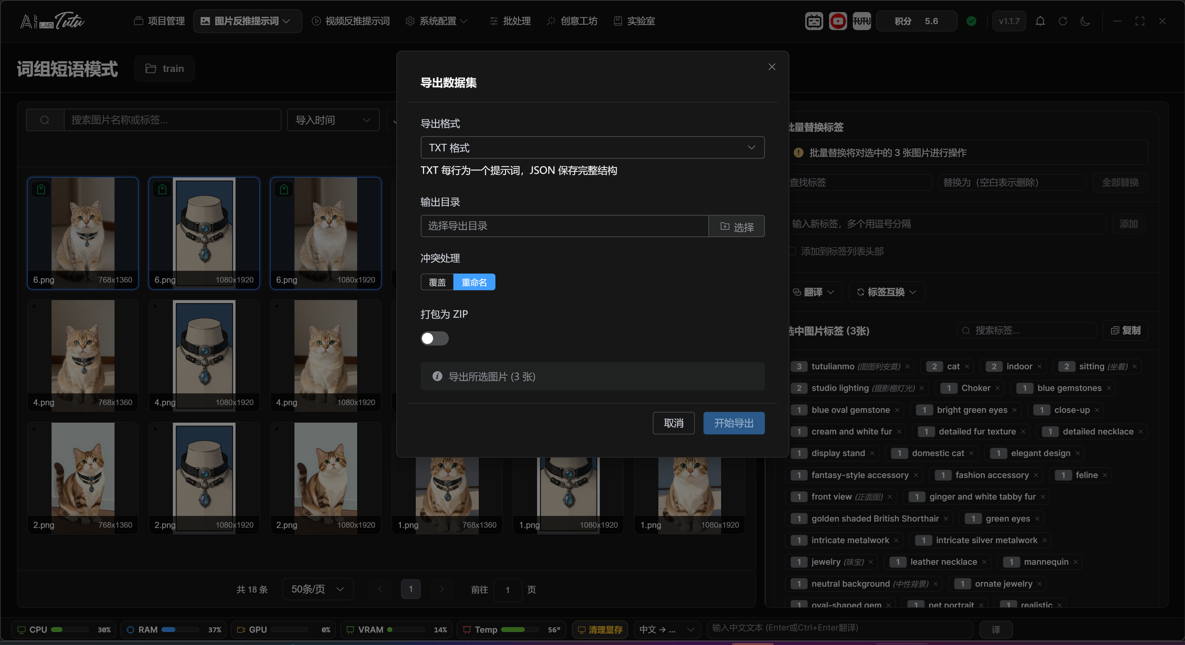 Image dataset export dialog