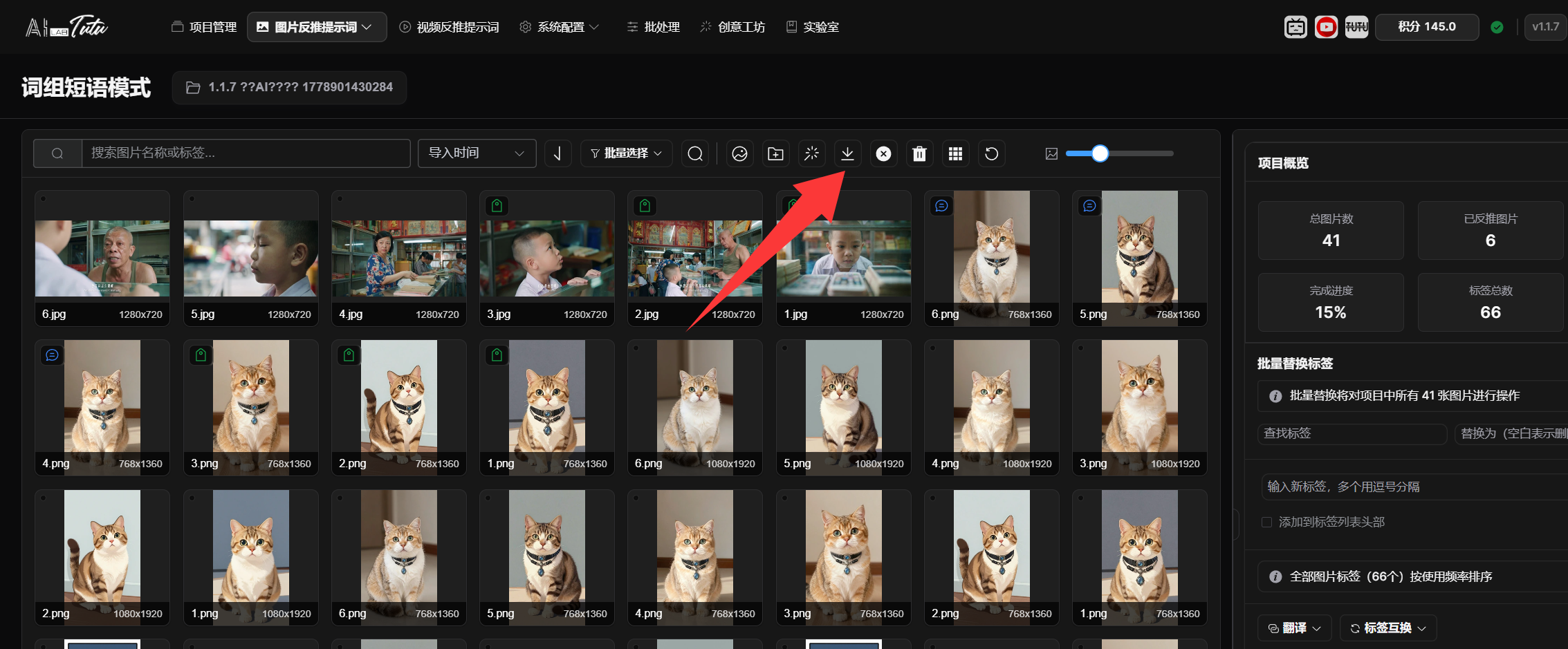 Export dataset button